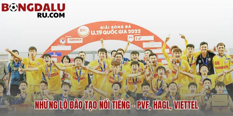 Các lò đào tạo nổi tiếng cung cấp nhân tài chất lượng cho bóng đá